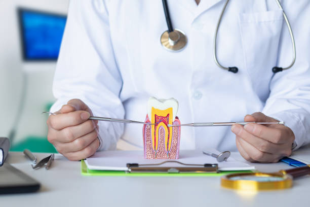 Best Dental Abscess Treatment in William Paterson University Of New Jersey, NJ